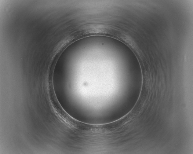 X0000066990482200603241320