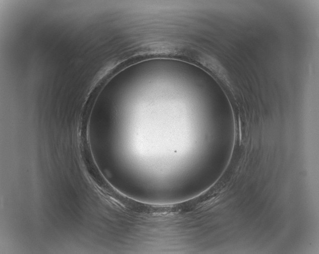 X0000066990483200603241320