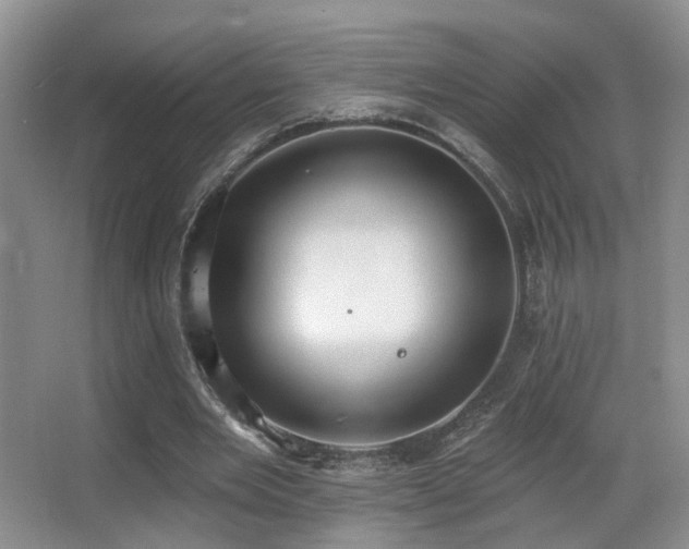 X0000066990485200603241320