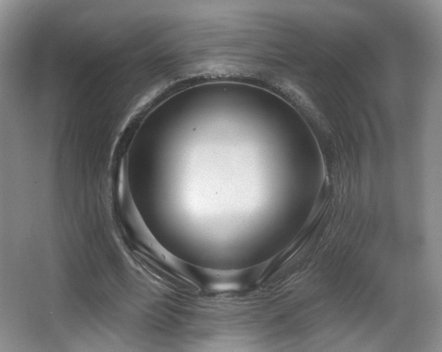 X0000066990488200603241320