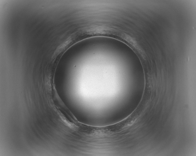 X0000066990489200603241320