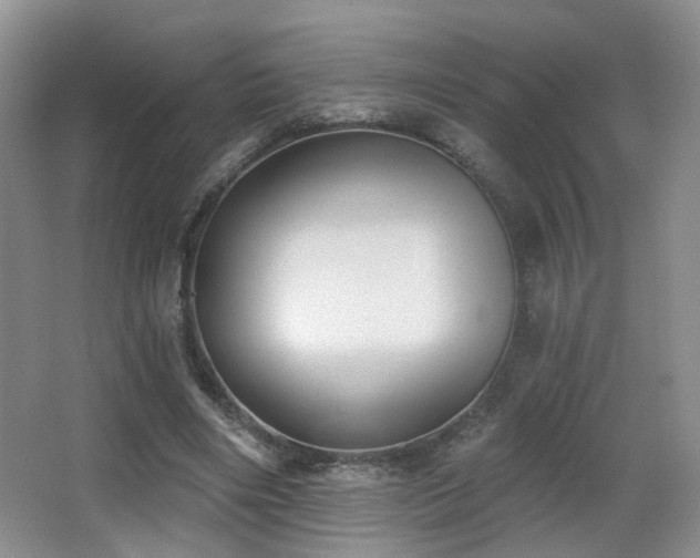 X0000066990490200603241320