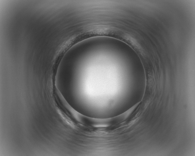 X0000066990493200603241320