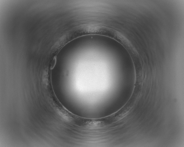 X0000066990497200603241320