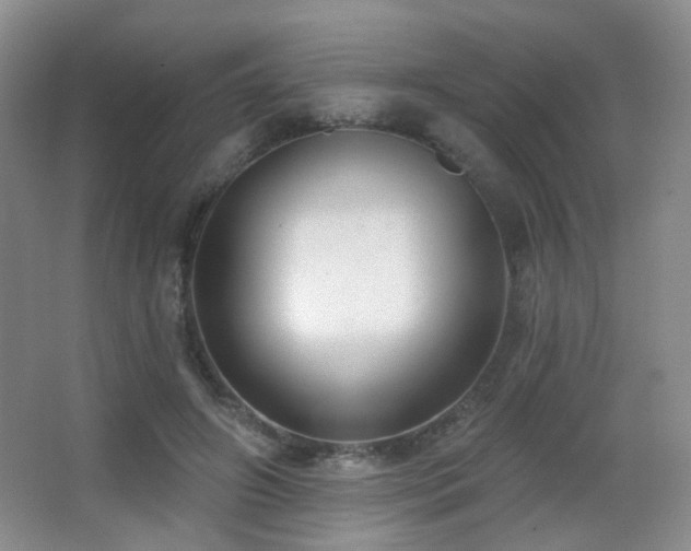 X0000066990498200603241320