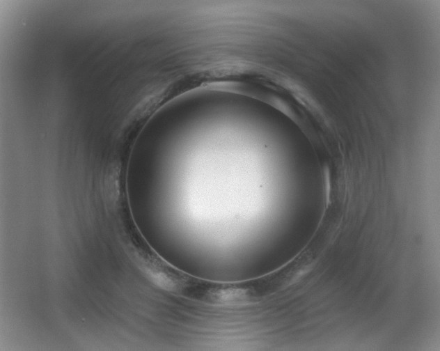 X0000066990501200603241320