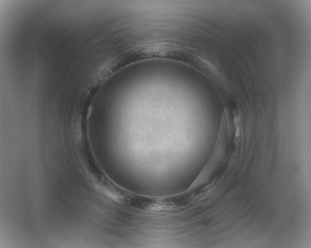 X0000066990504200603241320