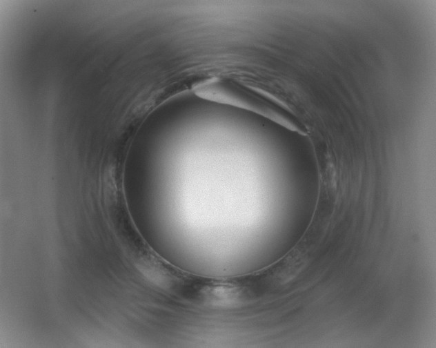 X0000066990506200603241320