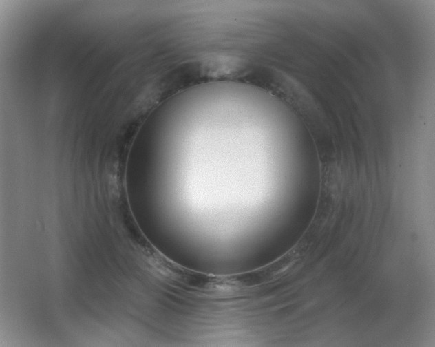 X0000066990510200603241320