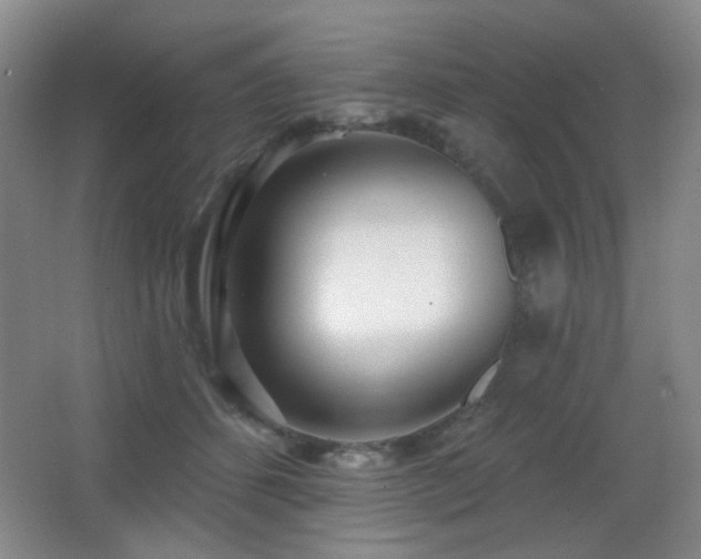 X0000066990512200603241319