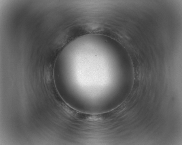 X0000066990515200603241319
