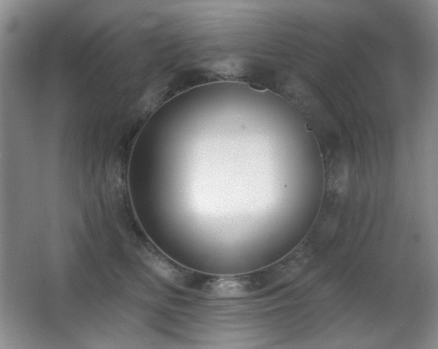 X0000066990518200603241319