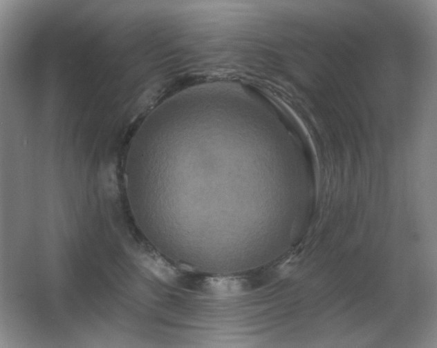 X0000066990520200603241319
