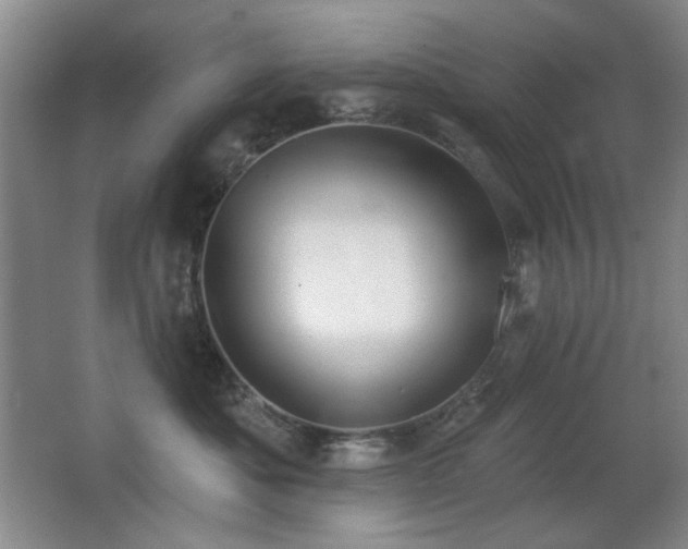 X0000066990525200603241319