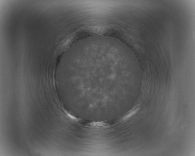 X0000066990528200603241319