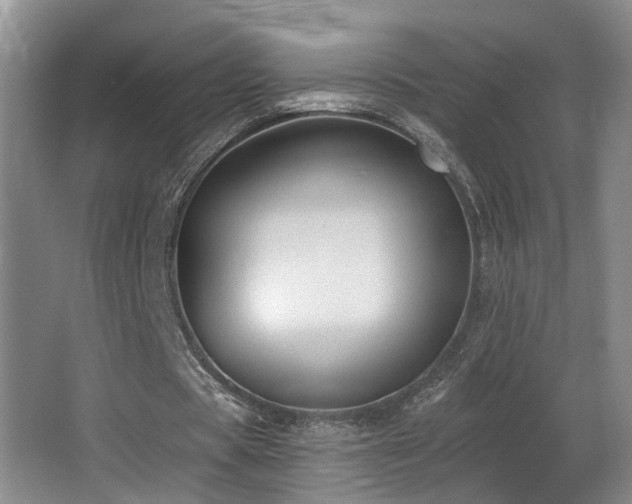 X0000066990529200603241318