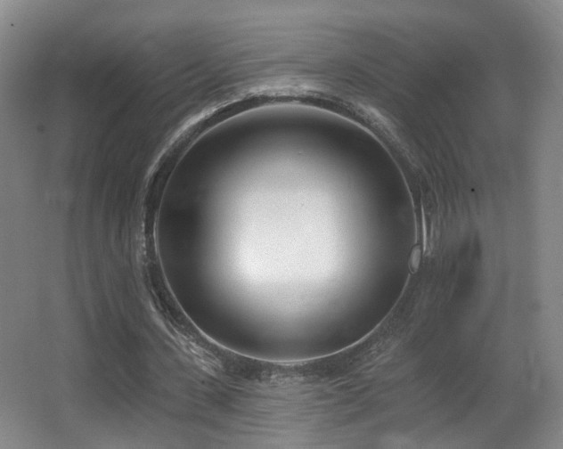 X0000066990531200603241318
