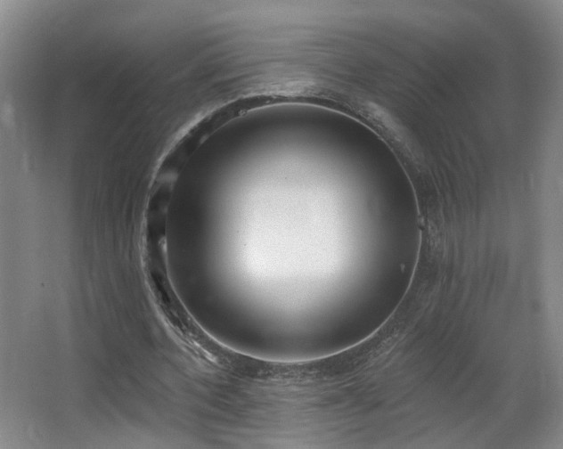 X0000066990532200603241318