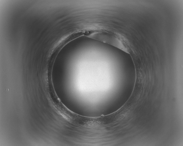 X0000066990535200603241318
