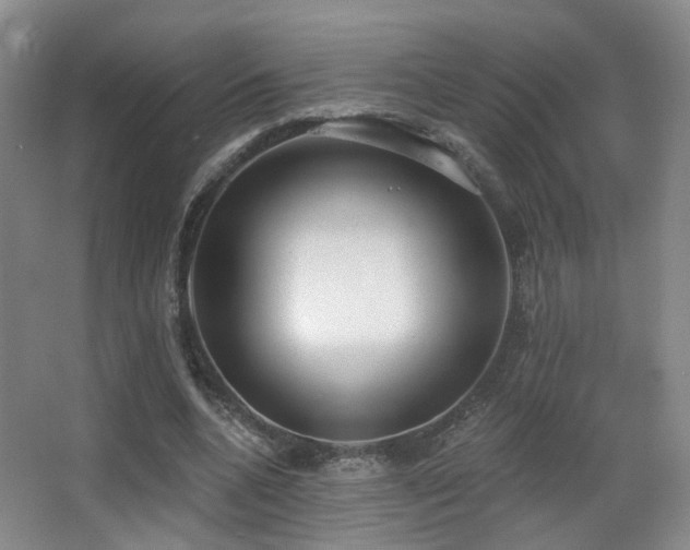X0000066990536200603241319