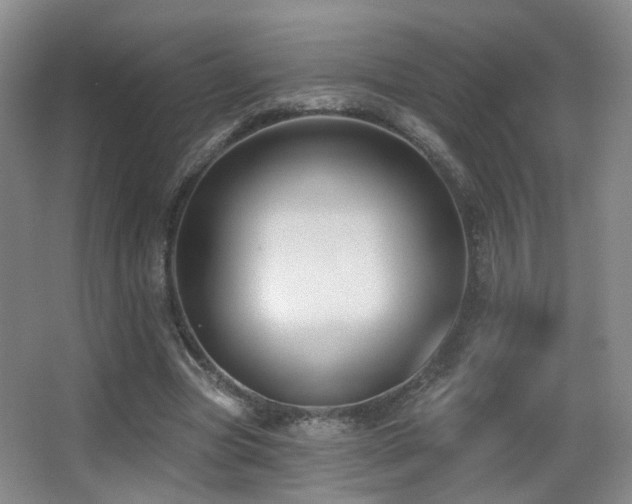 X0000066990537200603241319