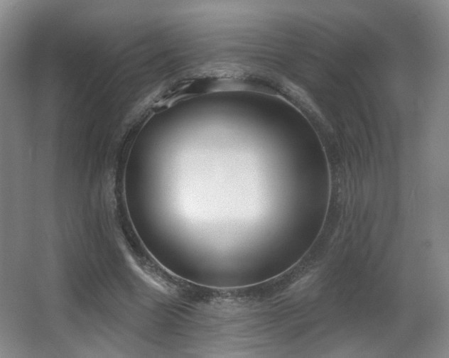 X0000066990538200603241319