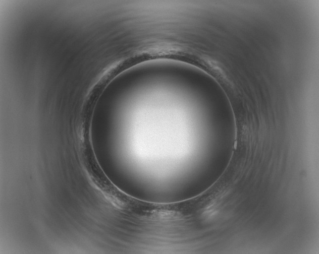 X0000066990539200603241319