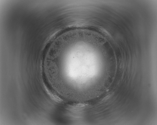 X0000066990542200603241319