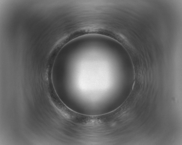 X0000066990543200603241319