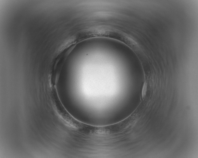 X0000066990546200603241319