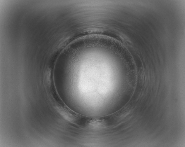 X0000066990550200603241319