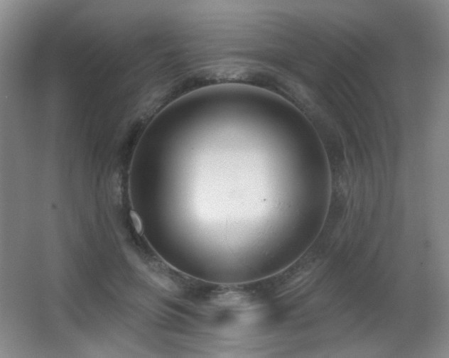X0000066990551200603241319