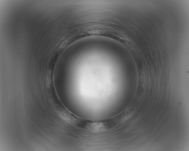 X0000066990554200603241319