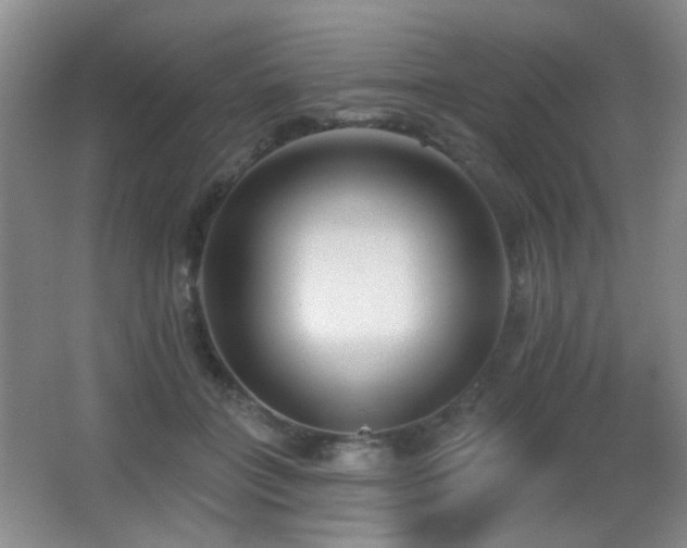 X0000066990555200603241319