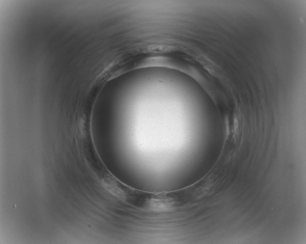 X0000066990556200603241319