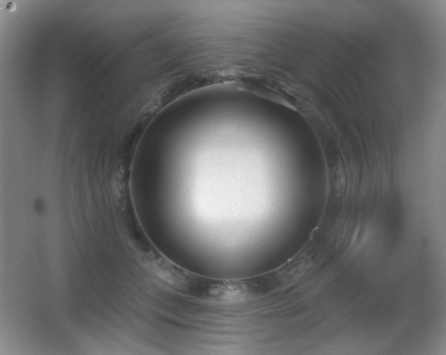 X0000066990559200603241319