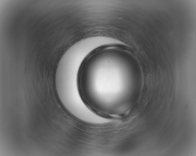 X0000066990561200603241319