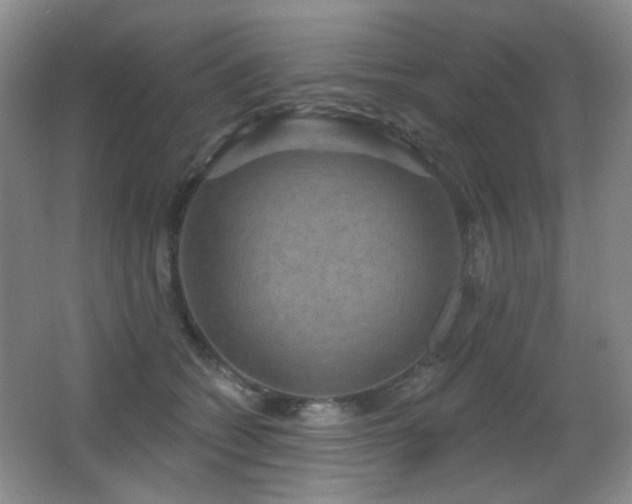 X0000066990562200603241319