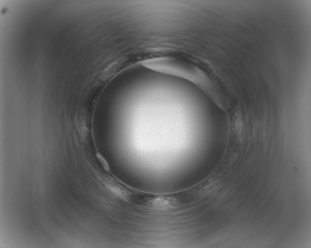 X0000066990566200603241319