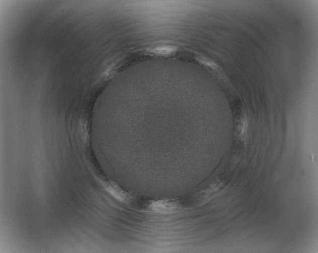 X0000066990568200603241319