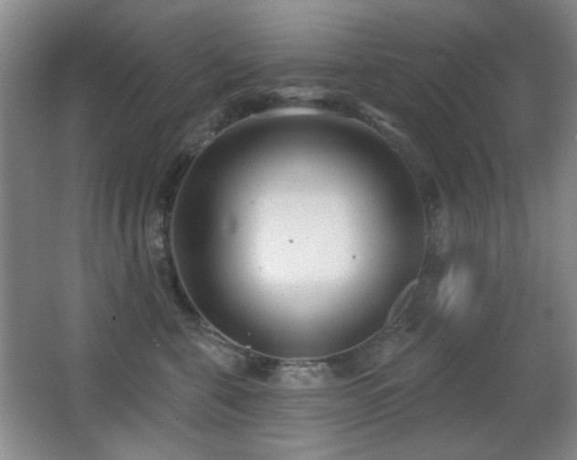 X0000066990571200603241319