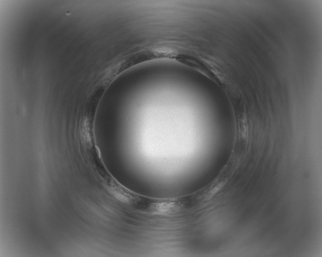 X0000066990575200603241319