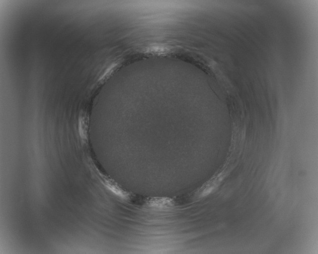 X0000066990576200603241319