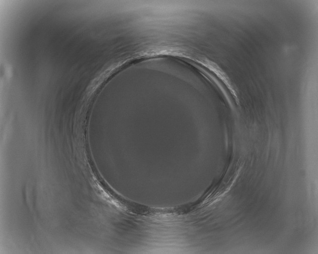 X0000066990577200603241318