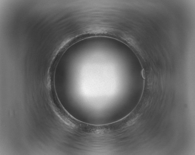 X0000066990584200603241318