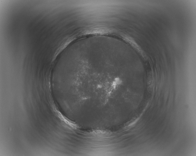 X0000066990585200603241318