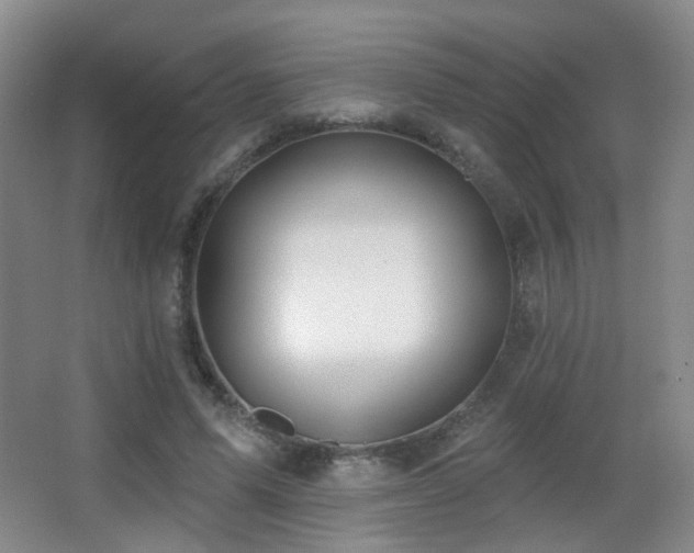 X0000066990591200603241318