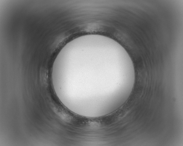 X0000066990592200603241318