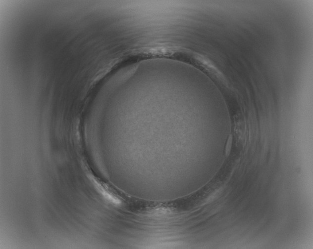 X0000066990593200603241318