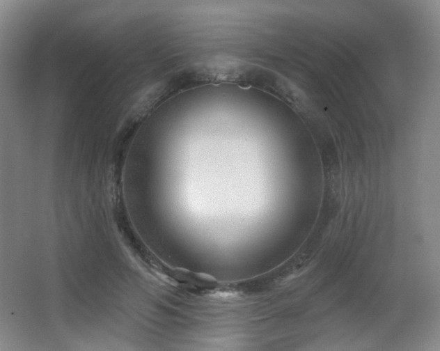 X0000066990594200603241318